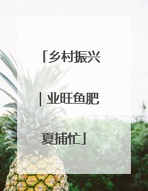 乡村振兴｜业旺鱼肥夏捕忙