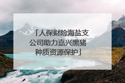 人保财险海盐支公司助力嘉兴黑猪种质资源保护