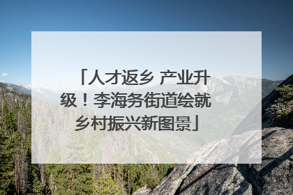 人才返乡 产业升级！李海务街道绘就乡村振兴新图景