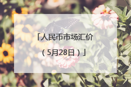 人民币市场汇价（5月28日）