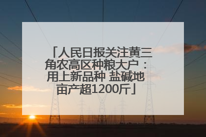 人民日报关注黄三角农高区种粮大户：用上新品种 盐碱地亩产超1200斤