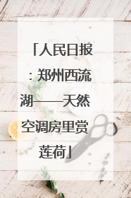 人民日报：郑州西流湖——天然空调房里赏莲荷