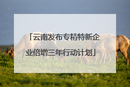 云南发布专精特新企业倍增三年行动计划