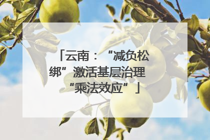 云南：“减负松绑”激活基层治理“乘法效应”
