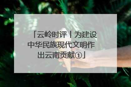 云岭时评丨为建设中华民族现代文明作出云南贡献①
