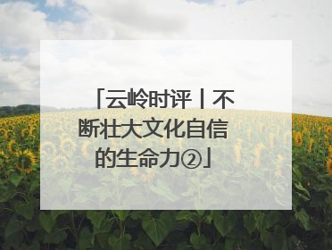 云岭时评丨不断壮大文化自信的生命力②