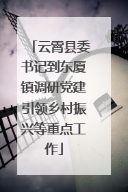 云霄县委书记到东厦镇调研党建引领乡村振兴等重点工作