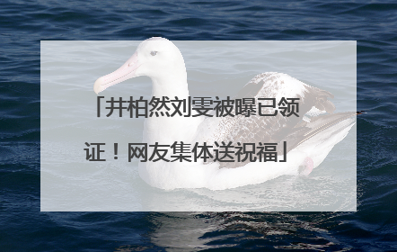 井柏然刘雯被曝已领证！网友集体送祝福