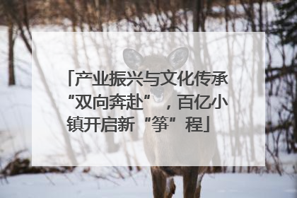 产业振兴与文化传承“双向奔赴”，百亿小镇开启新“筝”程