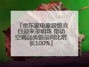 京东家电家居惊喜日迎来董明珠 带动空调品类销量同比增长100%