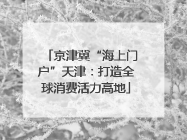 京津冀“海上门户”天津：打造全球消费活力高地