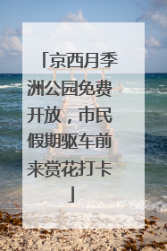 京西月季洲公园免费开放，市民假期驱车前来赏花打卡
