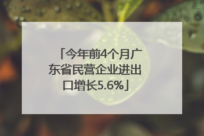 今年前4个月广东省民营企业进出口增长5.6%