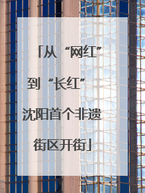 从“网红”到“长红” 沈阳首个非遗街区开街