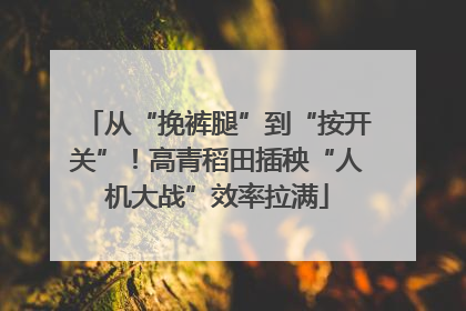 从“挽裤腿”到“按开关”！高青稻田插秧“人机大战”效率拉满