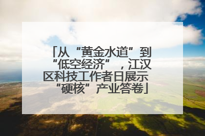 从“黄金水道”到“低空经济”，江汉区科技工作者日展示“硬核”产业答卷