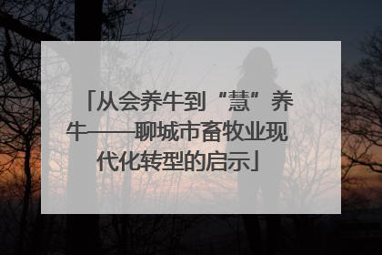 从会养牛到“慧”养牛——聊城市畜牧业现代化转型的启示