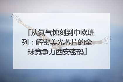 从氮气蚀刻到中欧班列：解密美光芯片的全球竞争力西安密码