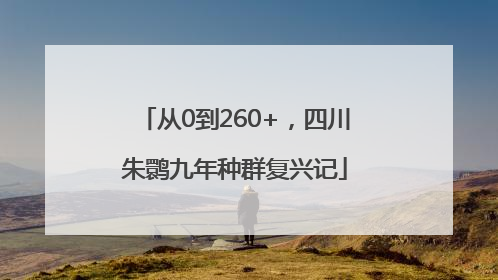 从0到260+，四川朱鹮九年种群复兴记