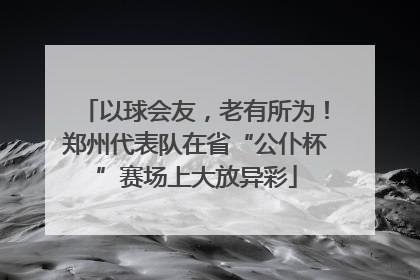 以球会友，老有所为！郑州代表队在省“公仆杯”赛场上大放异彩