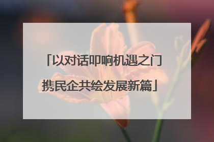 以对话叩响机遇之门 携民企共绘发展新篇