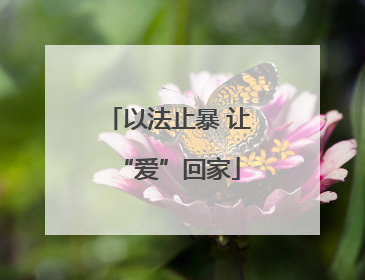 以法止暴 让“爱”回家