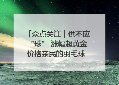 众点关注｜供不应“球” 涨幅超黄金 价格亲民的羽毛球为何身价飞涨？