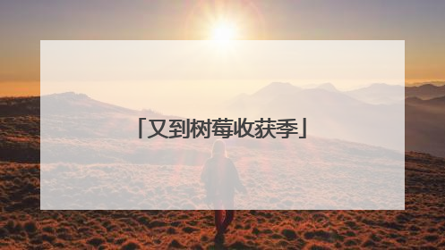 又到树莓收获季