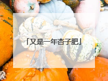 又是一年杏子肥