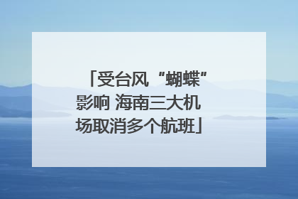 受台风“蝴蝶”影响 海南三大机场取消多个航班