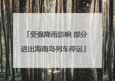 受强降雨影响 部分进出海南岛列车停运