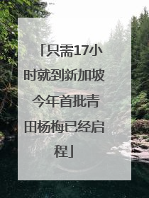 只需17小时就到新加坡 今年首批青田杨梅已经启程