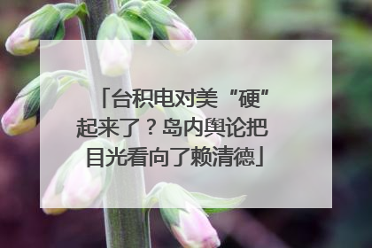 台积电对美“硬”起来了？岛内舆论把目光看向了赖清德