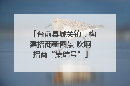 台前县城关镇：构建招商新图景 吹响招商“集结号”
