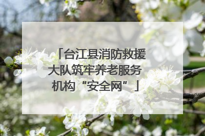 台江县消防救援大队筑牢养老服务机构“安全网”