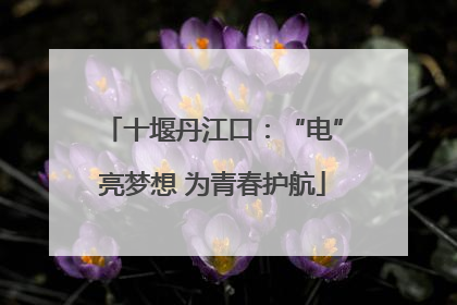 十堰丹江口：“电”亮梦想 为青春护航