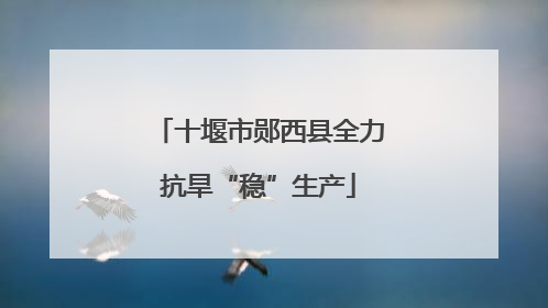 十堰市郧西县全力抗旱“稳”生产