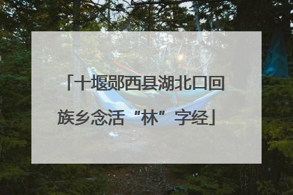 十堰郧西县湖北口回族乡念活“林”字经