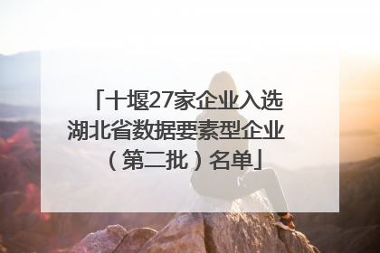 十堰27家企业入选湖北省数据要素型企业（第二批）名单