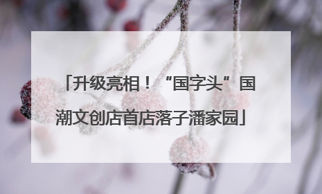 升级亮相！“国字头”国潮文创店首店落子潘家园