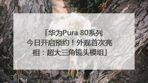 华为Pura 80系列今日开启预约！外观首次亮相：超大三角镜头模组