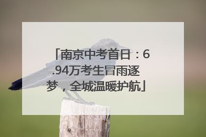 南京中考首日：6.94万考生冒雨逐梦，全城温暖护航