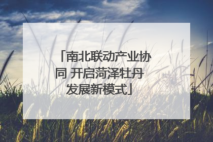 南北联动产业协同 开启菏泽牡丹发展新模式