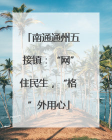 南通通州五接镇：“网”住民生，“格”外用心
