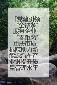 党建引领“全链条” 服务企业“零距离” 重庆市质标院助力新能源汽车产业链提升质量管理水平
