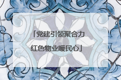党建引领聚合力 红色物业暖民心