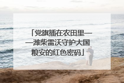 党旗插在农田里——潍柴雷沃守护大国粮安的红色密码