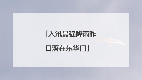 入汛最强降雨昨日落在东华门