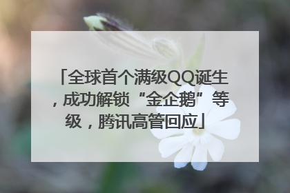 全球首个满级QQ诞生，成功解锁“金企鹅”等级，腾讯高管回应