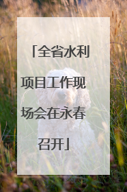 全省水利项目工作现场会在永春召开
